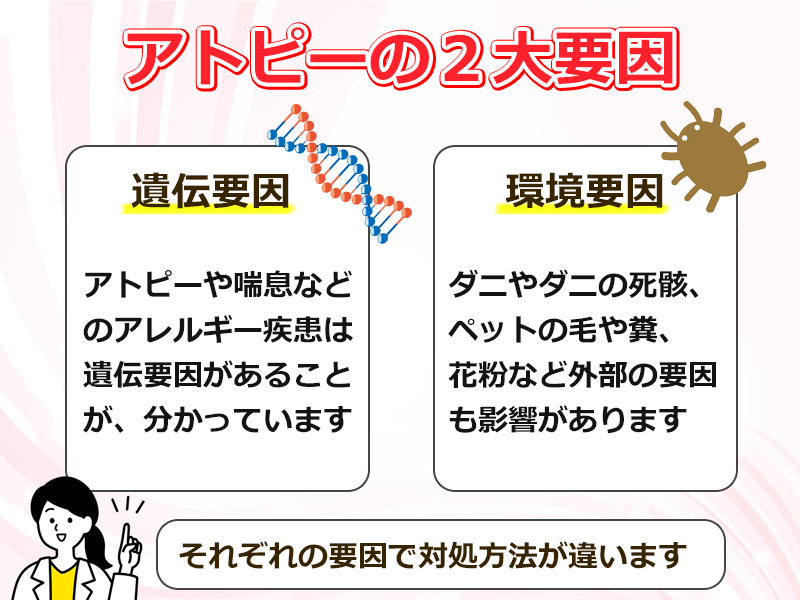 アトピーの２大要素の図解